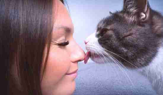 Pussy Lick as Dining At The Y (DATY)